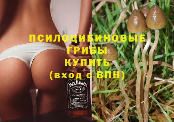 mix Гвардейск