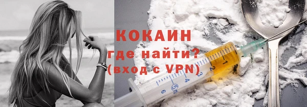 бошки Гатчина