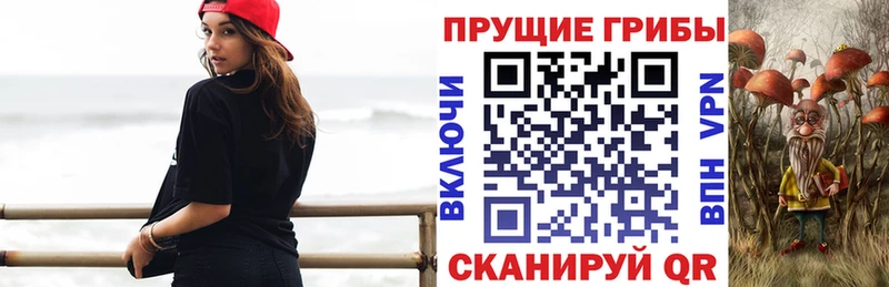 Галлюциногенные грибы Magic Shrooms  Закаменск 